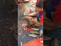 Fish Cutting Super Skills #shorts #fishcutting #youtubeshorts #shortsfeed #fishcuttingskill