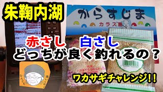 【カラス島】朱鞠内湖でワカサギチャレンジ！ 赤さし？白さし？どっちがよく釣れるの！？【意外な結果に...】