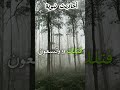 من قال هذا الذكر غفر له ذنوبه وإن كانت مثل زبد البحر احاديث_نبويه اذكار_اليوم أدعية القرآن_الكريم