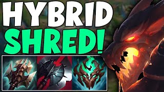 This Build Does TRUE DAMAGE on WARWICK!?