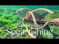 SHALLOW WATER GIANTS - SPEARFISHING BALI