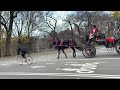 紐約必去景點 第一視角看中央公園 nyc central park 1st person winter walk with sunset manhattan ny travel