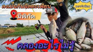 🎣ep-32 ตกปลาคลองธรรมชาติ แถววังน้อย ชั่วโมงเดียว ลงเป็นกิน