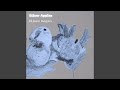 Silver Apples
