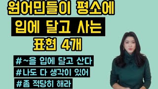 원어민들이 평소에 입에 달고 사는 표현 4개