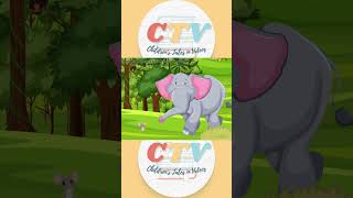 ช้างผู้โดดเดี่ยวในป่าใหญ่ [A solitary elephant in a large forest] : นิทานก่อนนอน 002 Shorts