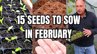 The Most Important Month In The Sowing Calendar:15 Seeds To Sow In February