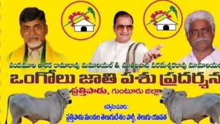 పత్తిపాడు పాల పందేం 1వ జత ముచ్చగాని ఏడుకొండలు గారు combines కన్నెబోయిన హనుమంత్ రావు గారు