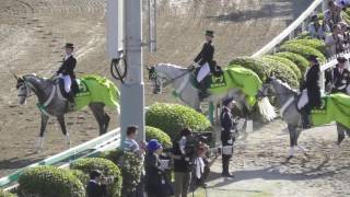 2017 第29回 かしわ記念（ＪｐｎI）本馬場入場 現地映像 コパノリッキー