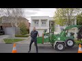 Tree Removal Melbourne