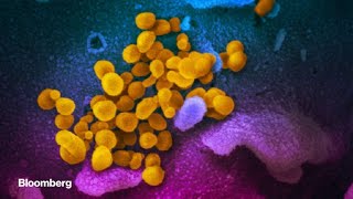 Covid-19 Pandemic Lessons Learned for U.S. and China