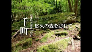 悠久の森を訪ねて（兵庫県宍粟市一宮町千町）