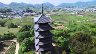 総社市の備中国分寺五重塔＆蓮華　2016 4K