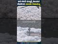 ಅತಿ ಕಳಪೆ ಮಟ್ಟಕ್ಕೆ ತಲುಪಿದ ದೆಹಲಿಯ ವಾಯು ಗುಣಮಟ್ಟ ಯಮುನಾ ನದಿಯಲ್ಲಿ ವಿಷಕಾರಿ ನೊರೆ