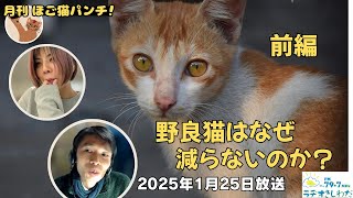 月刊ほご猫パンチ！『猫っていいな！』新春拡大版 【前編】