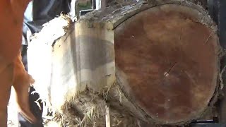 penggergajian kayu oprator skil dewa proses kusen kayu jati.indonesia teak wood