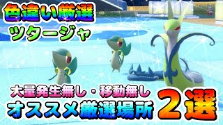 【ポケモンSV】色違いツタージャのオススメ厳選場所２選！大量発生無し、移動無しで厳選可できる！【色厳選】