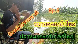 ชิงหลิวหมายธรรมชาติ Ep.5 |ประตูน้ำคลองโยง