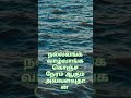 ஆண்டவன் இருக்கான் சோதனை வரும்🙏🙏🙏