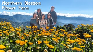 NORTHERN BLOSSOM FLOWER FARM | ATOK BENGUET | AC MOLINA