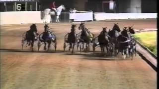 Harness Racing,Bankstown-1998 Treuer Memorial (Christian Cullen-D.Campbell)