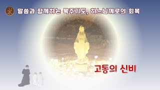 [말씀과 함께하는 묵주기도] 고통의 신비 (하느님께로의 회복)