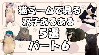 【猫ミーム】猫ミームで見る双子あるある５選 パート６【双子あるある】