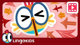 CARTOONS FOR KIDS | Giving DIRECTIONS ⬆️⬇️| Lingokids