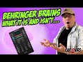 Behringer Brains: What is it and What it isn't...