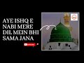 aye ishq e nabi mere dil mein bhi sama jana | Naat Status | Ghulam Mustafa Qadri #shorts #ramzan