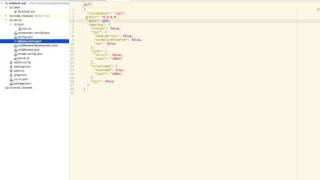 06 Understanding Loopback Directory Structure