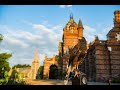 Meet Louie & Lottie - Harris Hawks (parabuteo unicinctus) | Apollo Falconry