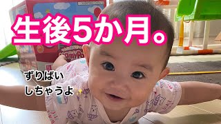 【生後５か月】朝起きてから夜寝るまでの赤ちゃんの１日。生後５か月になりました！【密着】