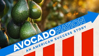 Avocado Nation: An American Success Story – A Mini Documentary