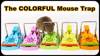 The Colorful Mouse Trap being sold on Amazon. Mousetrap Monday.