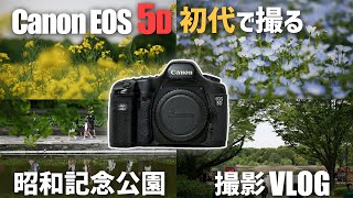 【VLOG】Canon EOS 5Dを持って昭和記念公園でネモフィラと菜の花撮ってきた~一眼レフ・オールド一眼~