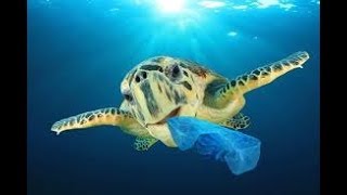 How Plastic destroys earth