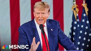 'America is forewarned': Raskin sounds alarm about Trump’s 'authoritarian program'