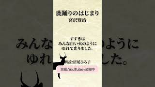 宮沢賢治『鹿踊りのはじまり』　朗読：沼尾ひろ子  現役テレビナレーターが声だけで、情景を思い浮かべられるように読み上げます。#朗読 #小節 #短編 #作業用