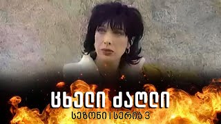 ცხელი ძაღლი | სეზონი 1 სერია 3