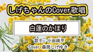 「白蓮のかほり」しげちゃんのCover歌唱 / 小田純平・Cover 森岡しげゆき