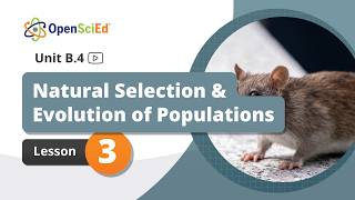 Unit B.4 Lesson 3 Planning Video | OpenSciEd On-Demand Resources