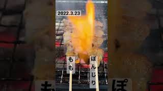 本日の串「赤鶏もも」「赤鶏ぽんじり」#shorts #焼き鳥ひのたまこぞう