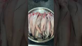 amazing Bombil fish bombay duck #shorts #youtubeshorts #shorts #fish #fishcutting #bombil #seafood