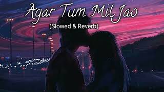 🥰Agar Tum Mil Jao Jamana Chod Denge💞(Slowed And Reverb)😓Shreya Ghoshal | Hindi Lofi| Music Viral Hub