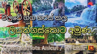 ⬤┆වළවේ ගග හරස් කල සුන්දර අමුණ.෴░Liyangastota anicut built across the Walawe river.෴🇱🇰🌱