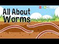 All About Worms