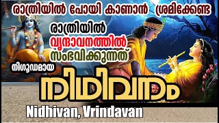 രാത്രിയില്‍ നിഥിവനത്തില്‍ സംഭവിക്കുന്നത്‌ | Nidhivan | sacred sites of Vrindavan MALAYALAM