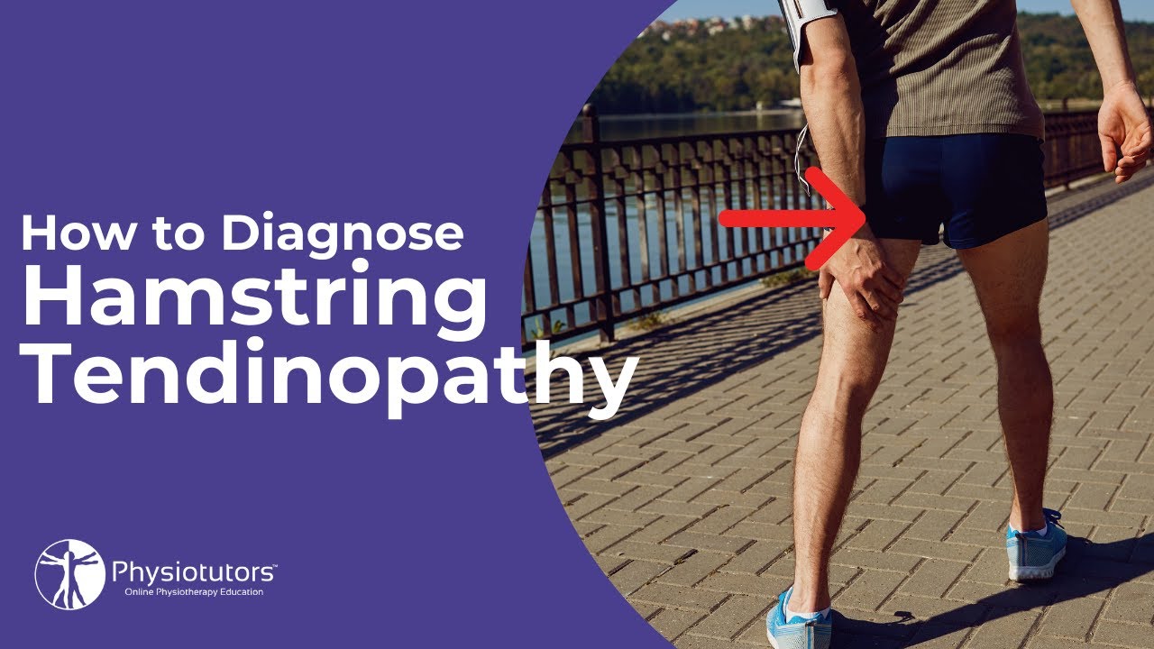 Proximal Hamstring Tendinopathy Diagnosis - YouTube