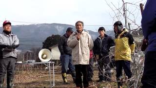 130107果樹研究会～1305高密植新わい化栽培整枝剪定交流会